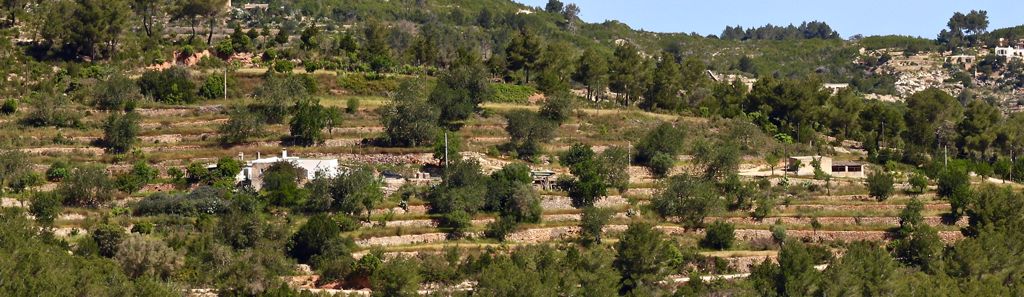 4 bedroom villa in Cala San Vicente