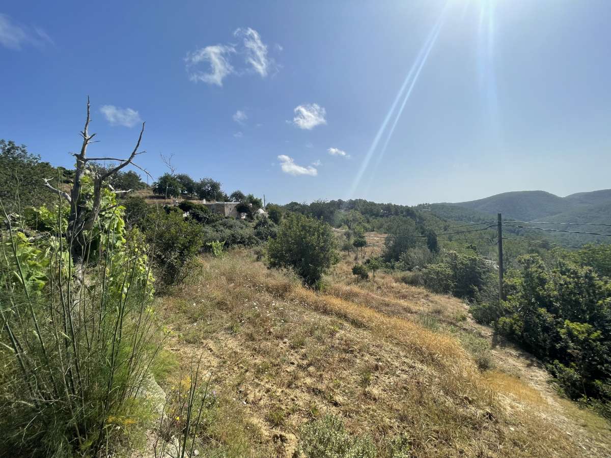 4 bedroom villa in Cala San Vicente
