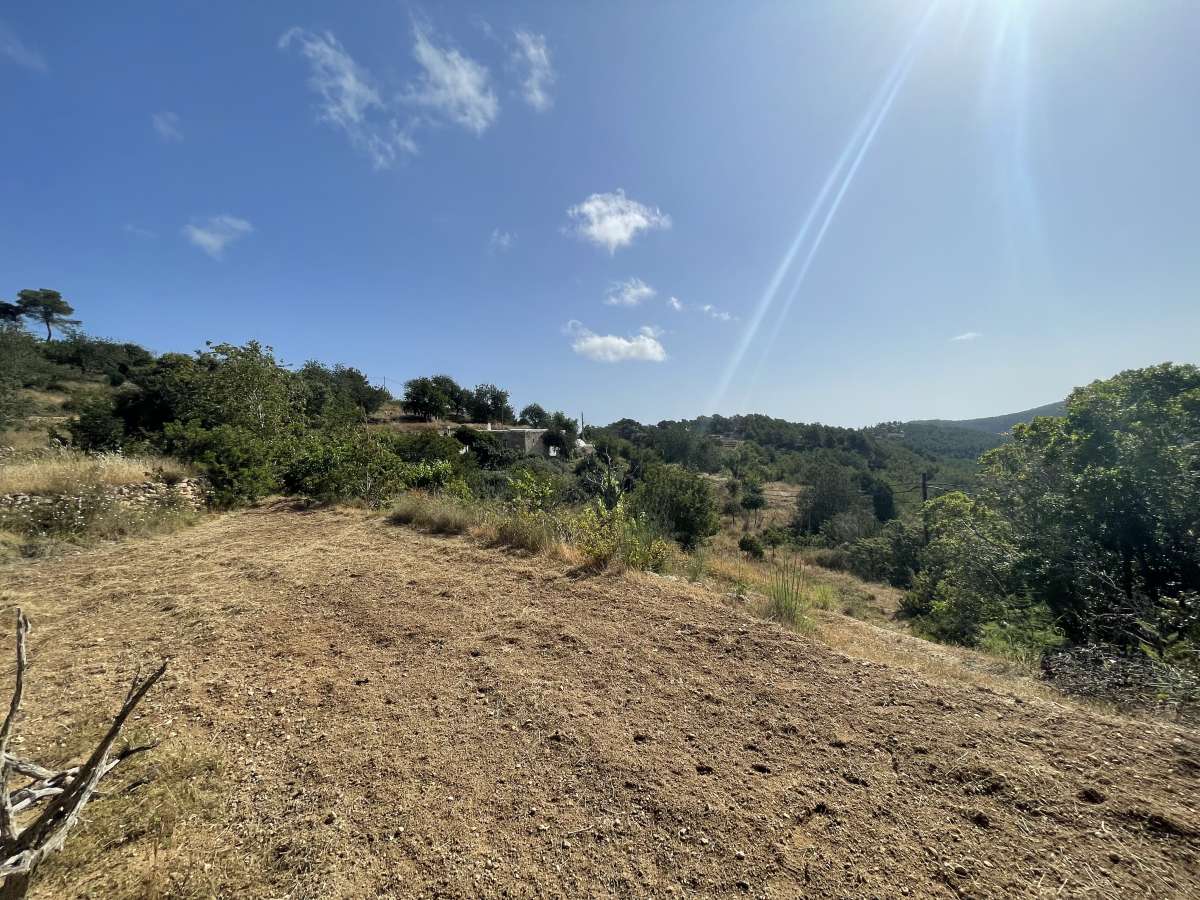 4 bedroom villa in Cala San Vicente