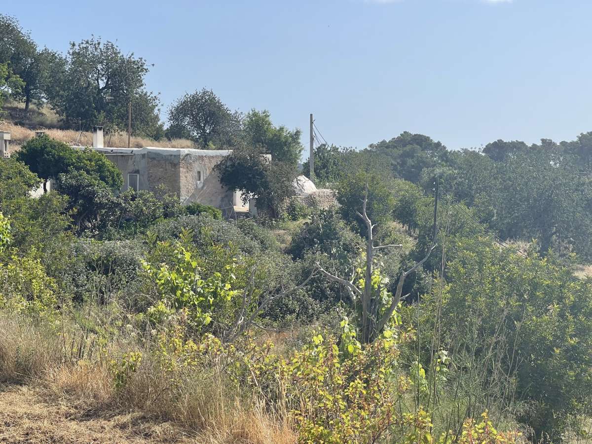 4 bedroom villa in Cala San Vicente