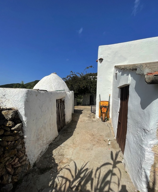 4 bedroom villa in Cala San Vicente