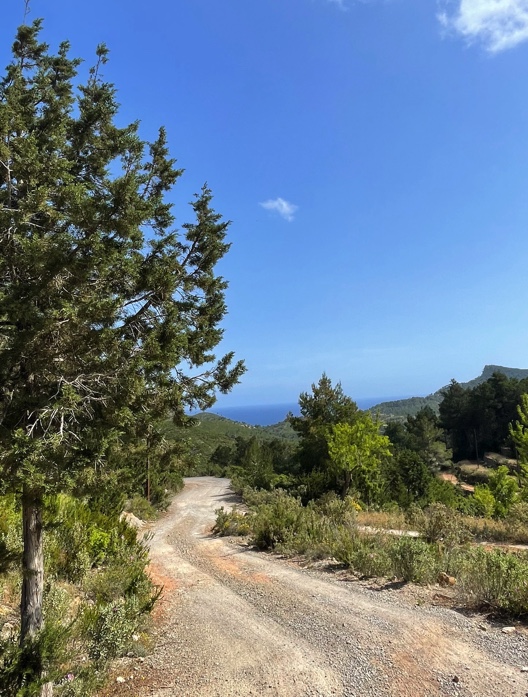 4 bedroom villa in Cala San Vicente