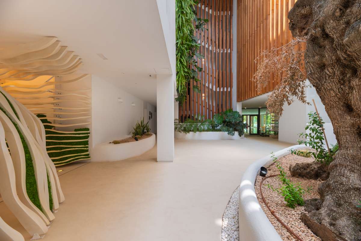 1 bedroom apartment in Figueretas