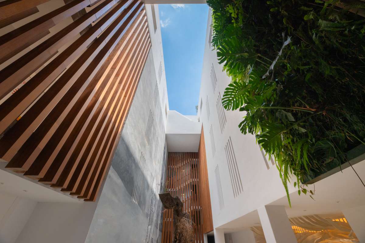 1 bedroom apartment in Figueretas
